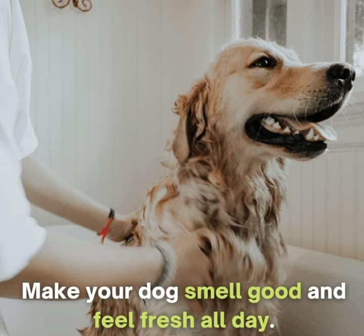 Anti-Itch Dog Shampoo- 300ml