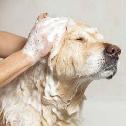 Anti-Itch Dog Shampoo- 300ml